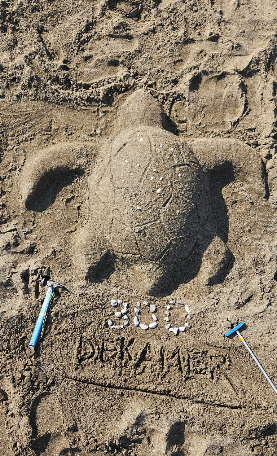 A A 20250615 38285427 38285426 M U G L A D A I Z T U Z U P L A J I N D A K I C A R E T T A C A R E T T A Y U V A L A R I N I N S A Y I S I 300 E U L A S T I