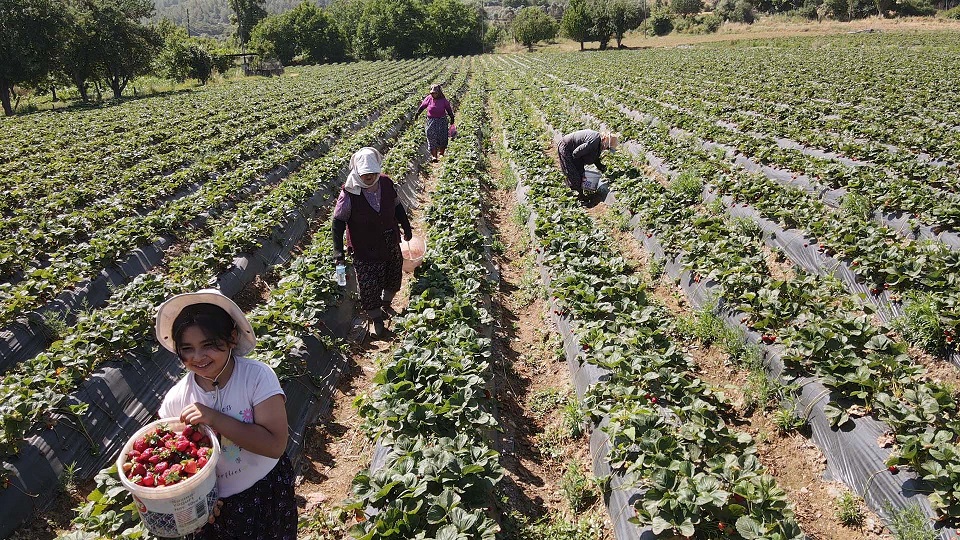 A A 20250619 38324621 38324606 M U G L A D A F I Y A T I Y L A V E V E R I M I Y L E Y U Z G U L D U R E N C I L E G I N H A S A D I Y A P I L D I