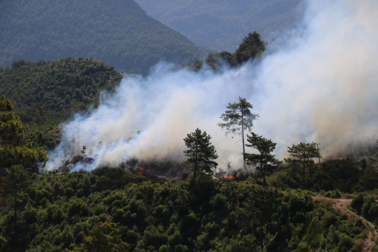 Aa Picture 20250627 38401044