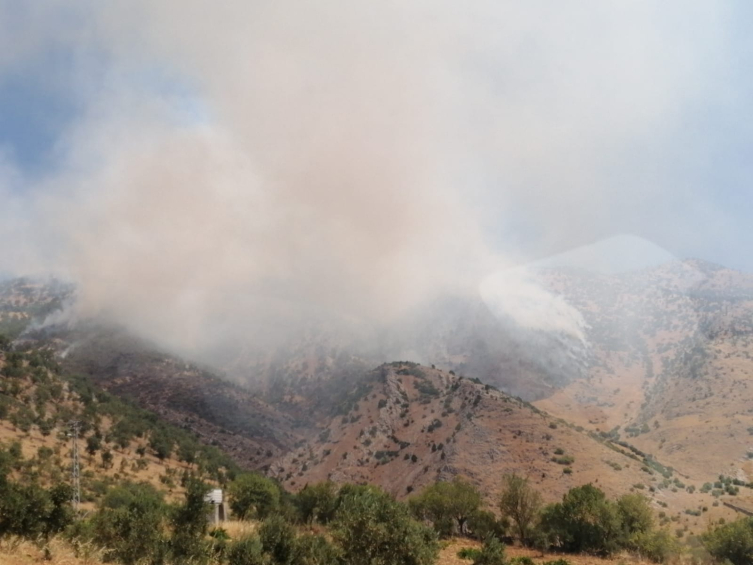 Aa Picture 20250627 38401924