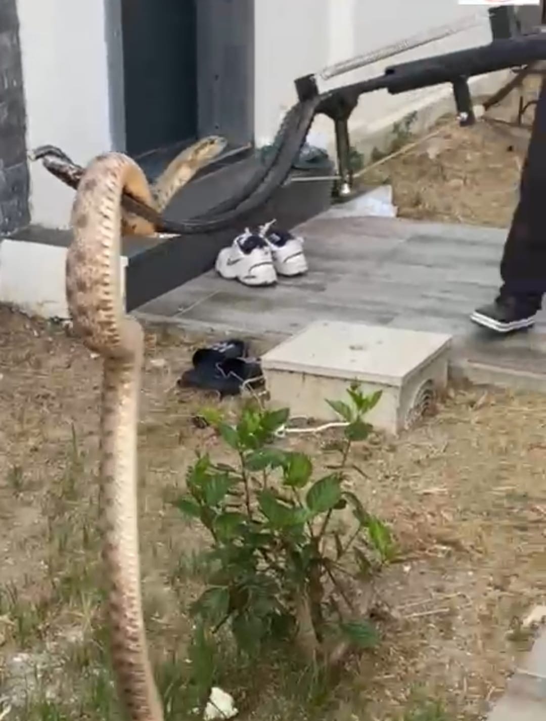 C4A6B7Ea F3De 47Ef Af70 04A644C4C5Bb