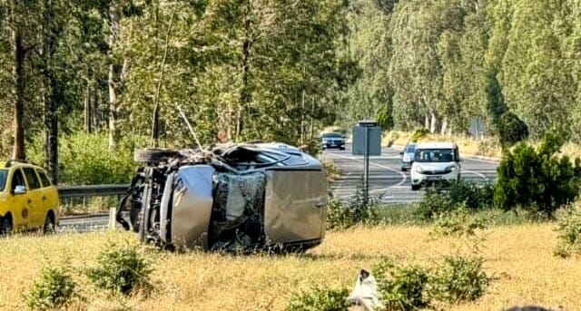 E75429C3 8A44 45B5 9F24 Fcd04D9908B6