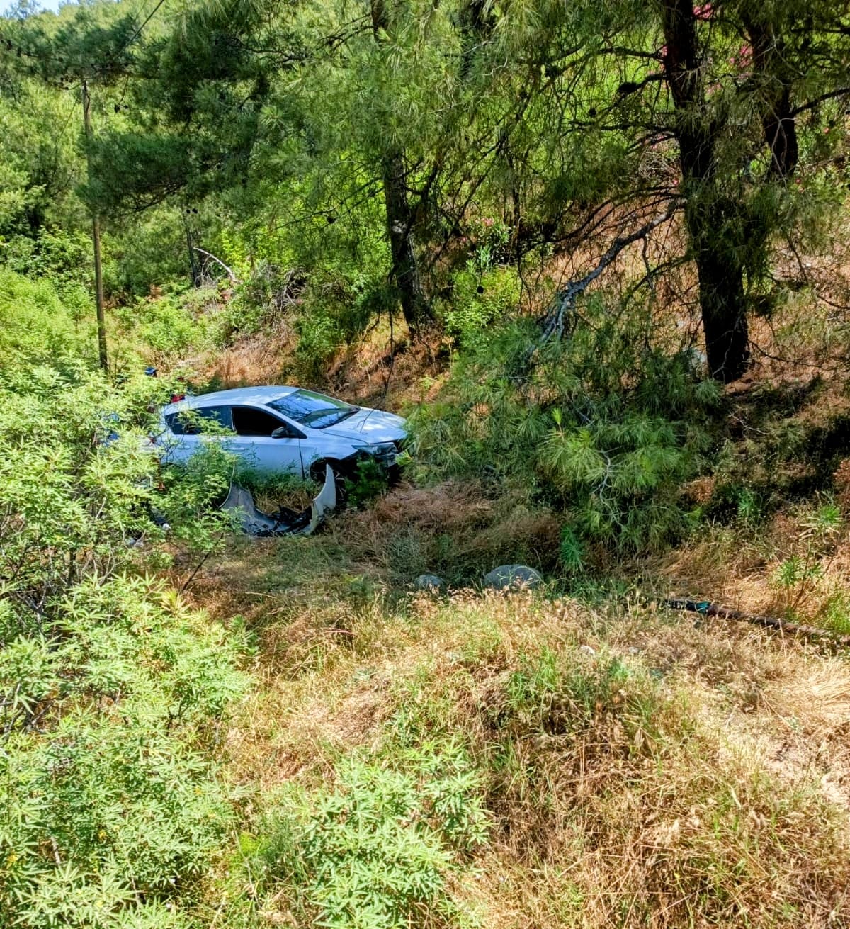 I M G 20250608 W A0017