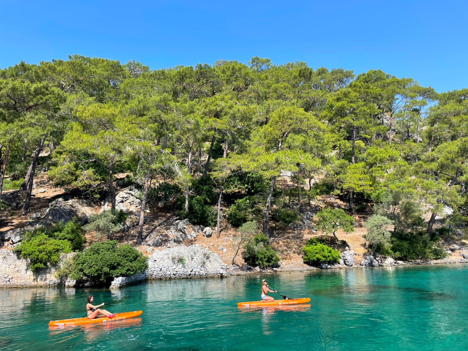 Whatsapp Image 2025 06 04 At 12.32.45 (1)