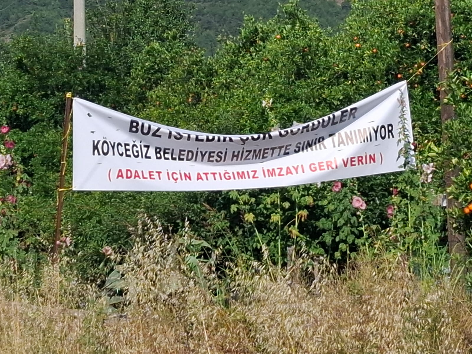 Whatsapp Image 2025 06 08 At 16.44.13-2