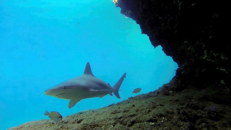 Whatsapp Image 2025 06 10 At 11.05.06