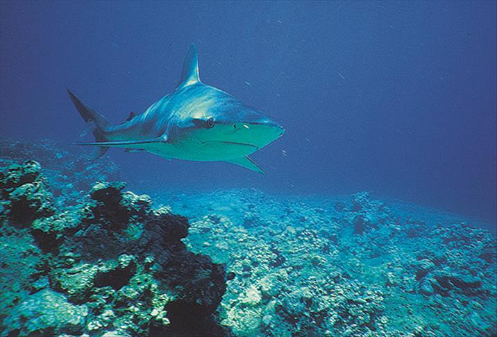 Whatsapp Image 2025 06 10 At 11.05.08