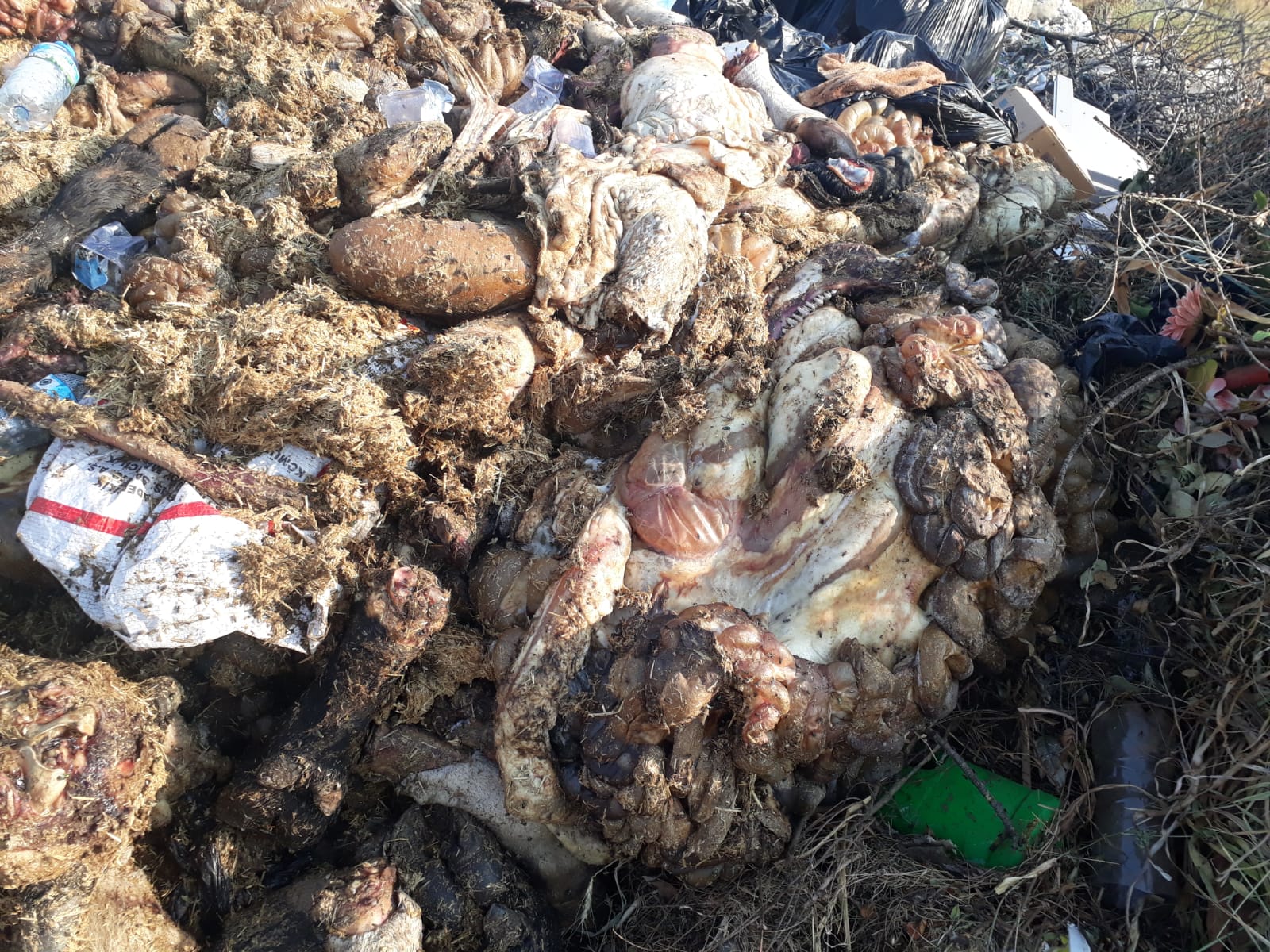 Whatsapp Image 2025 06 10 At 11.35.43