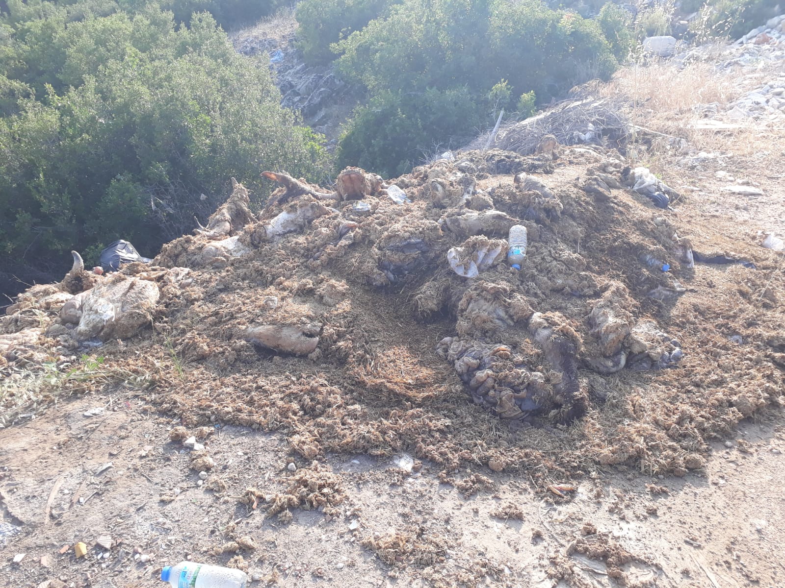 Whatsapp Image 2025 06 10 At 11.35.47