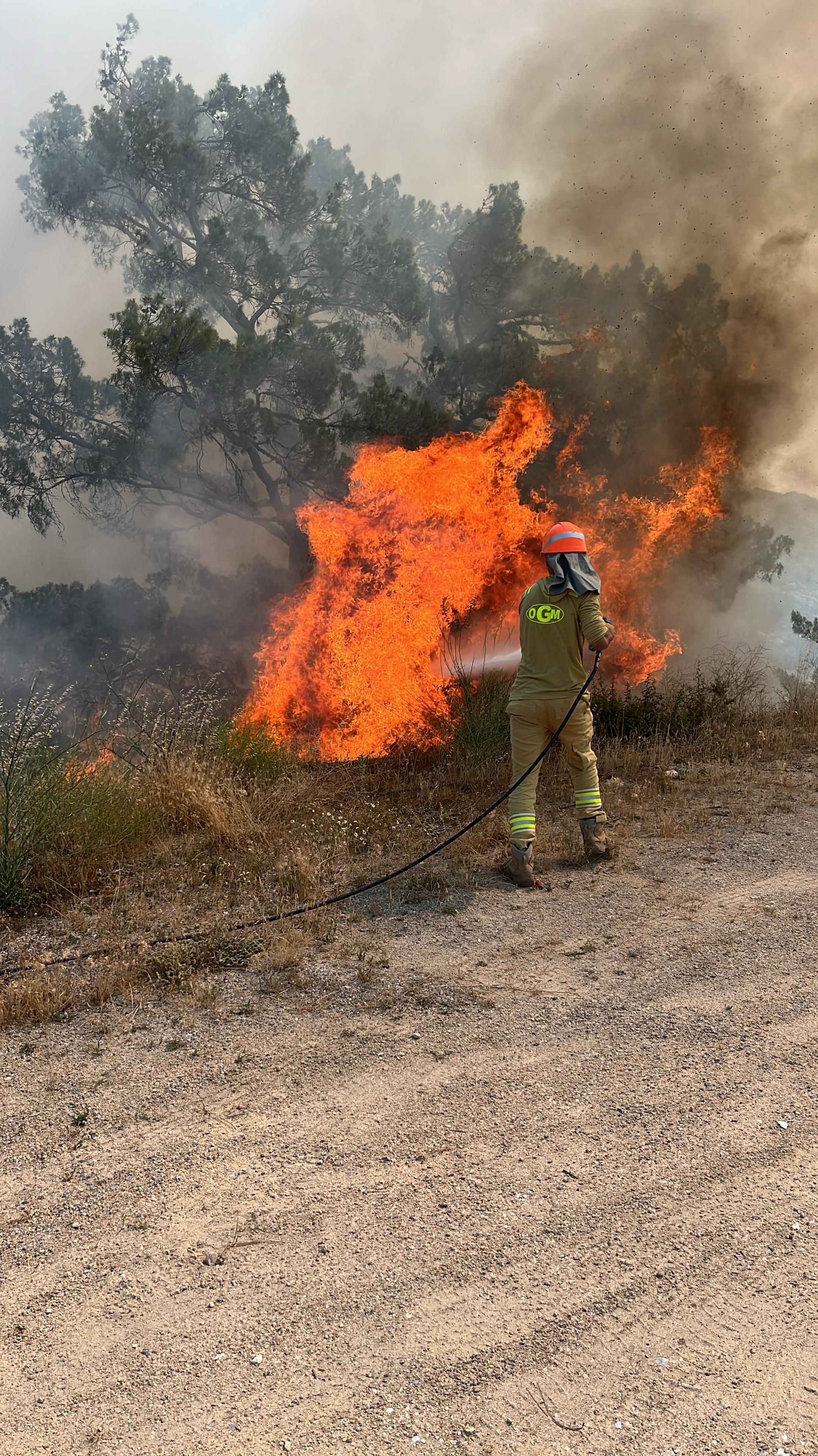 Whatsapp Image 2025 06 10 At 11.36.02