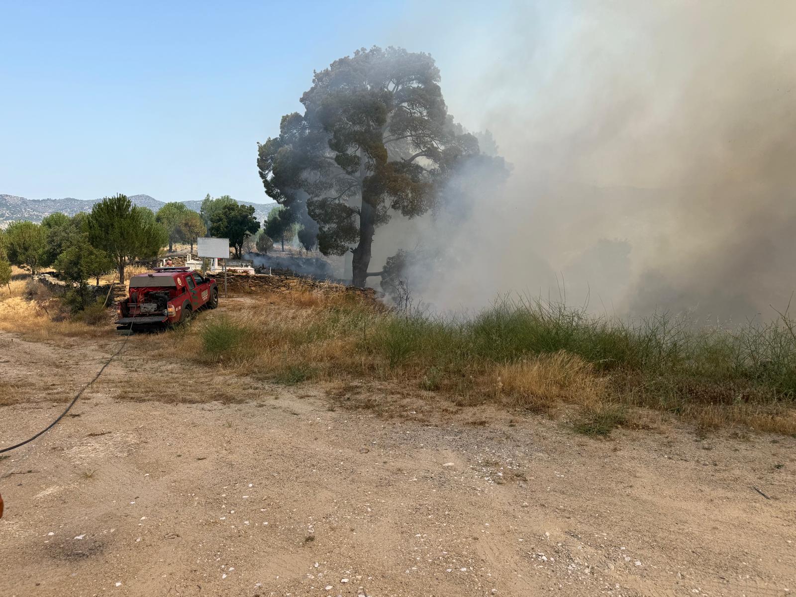 Whatsapp Image 2025 06 10 At 11.36.04