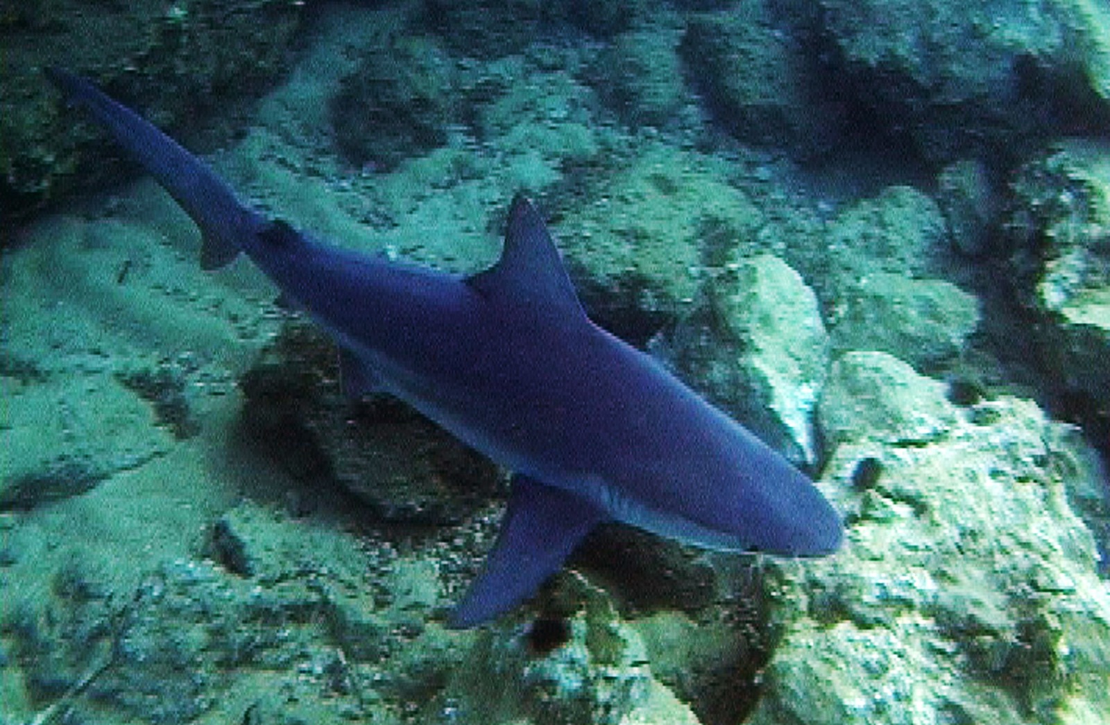 Whatsapp Image 2025 06 12 At 16.14.30 (1)