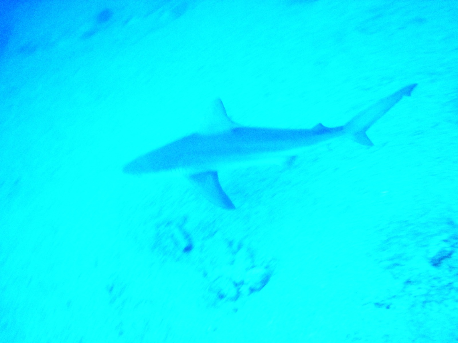 Whatsapp Image 2025 06 12 At 16.14.30 (2)