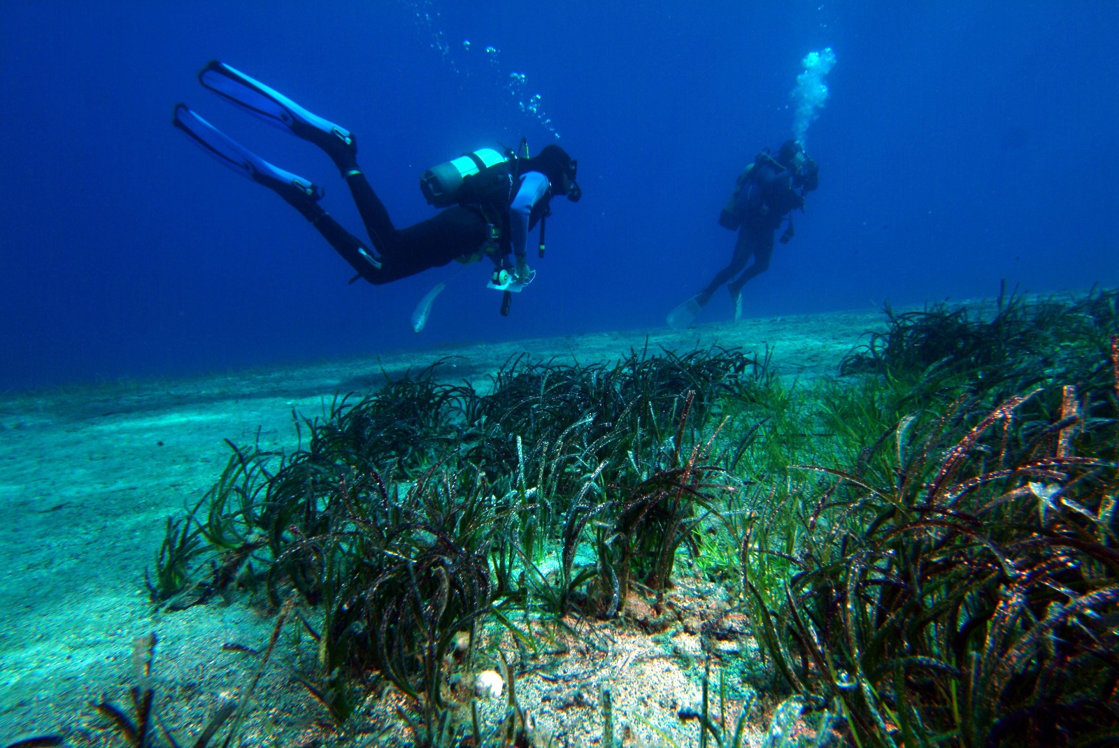 Whatsapp Image 2025 06 12 At 16.15.23 (1)