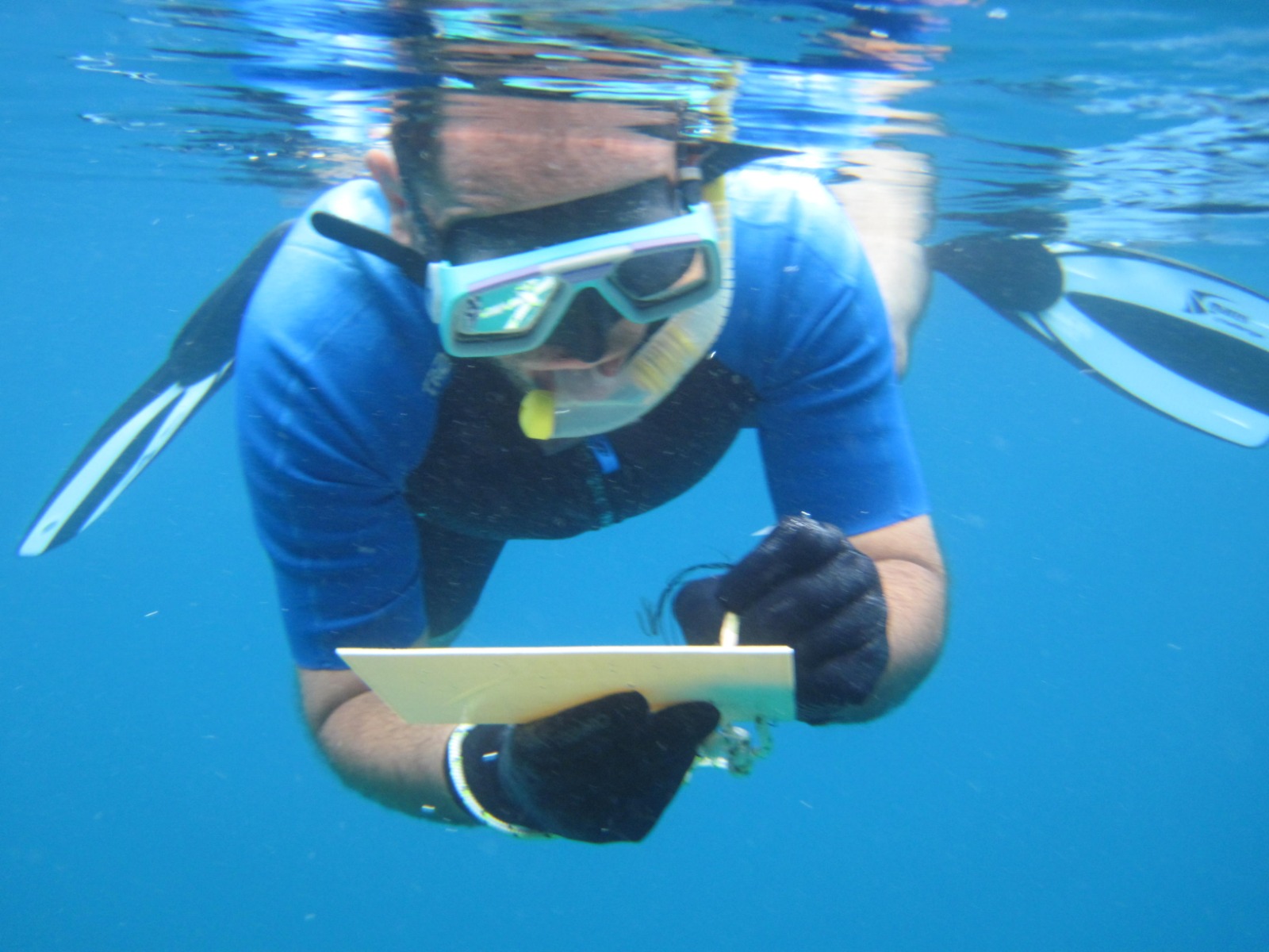 Whatsapp Image 2025 06 12 At 16.15.23 (2)