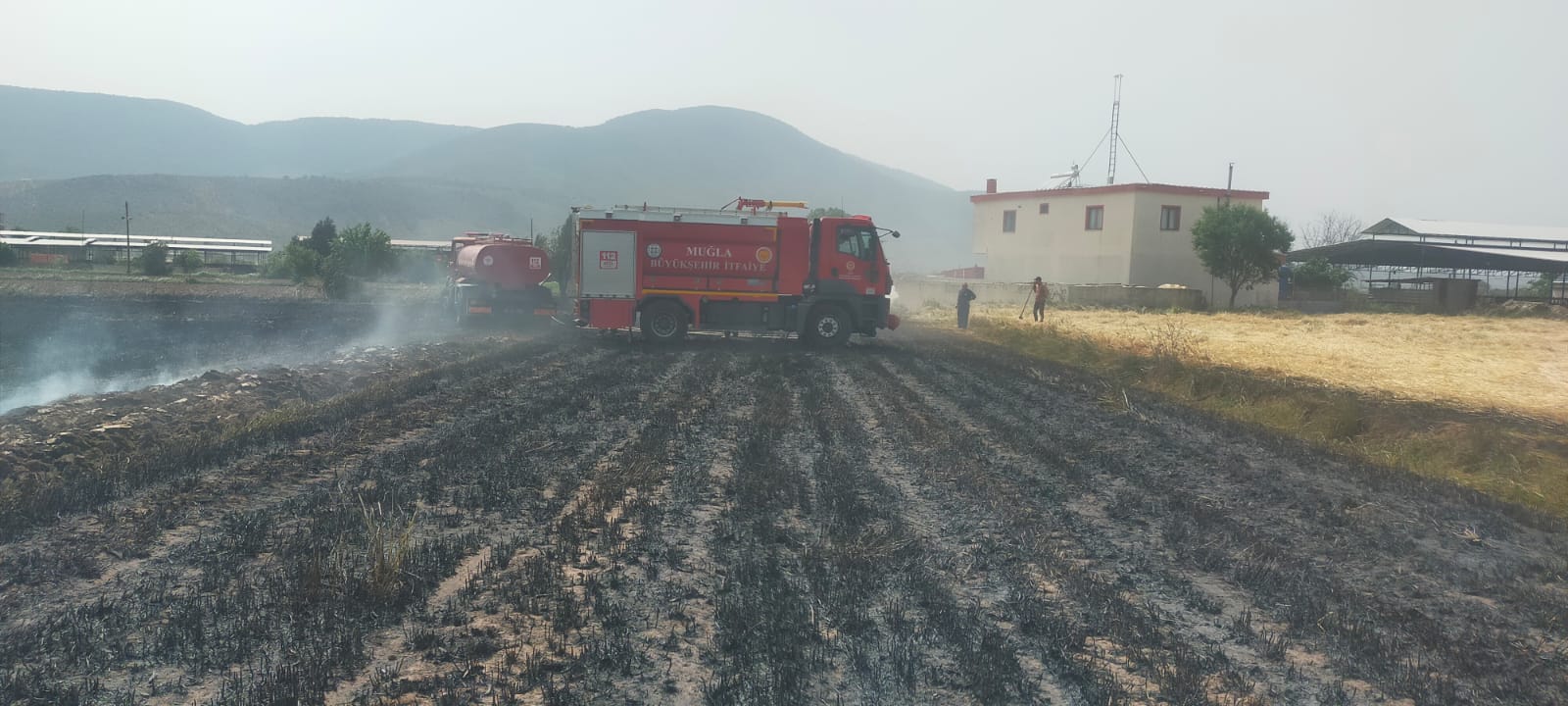 Whatsapp Image 2025 06 13 At 09.07.07