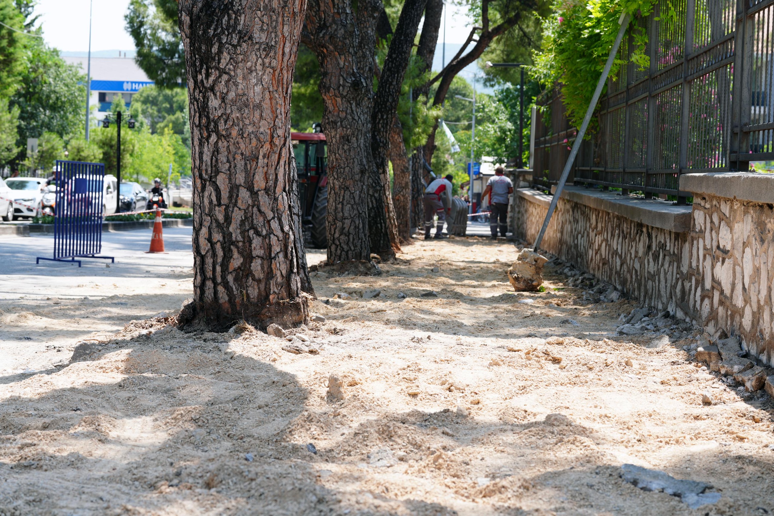 Whatsapp Image 2025 06 13 At 09.53.07 (1)