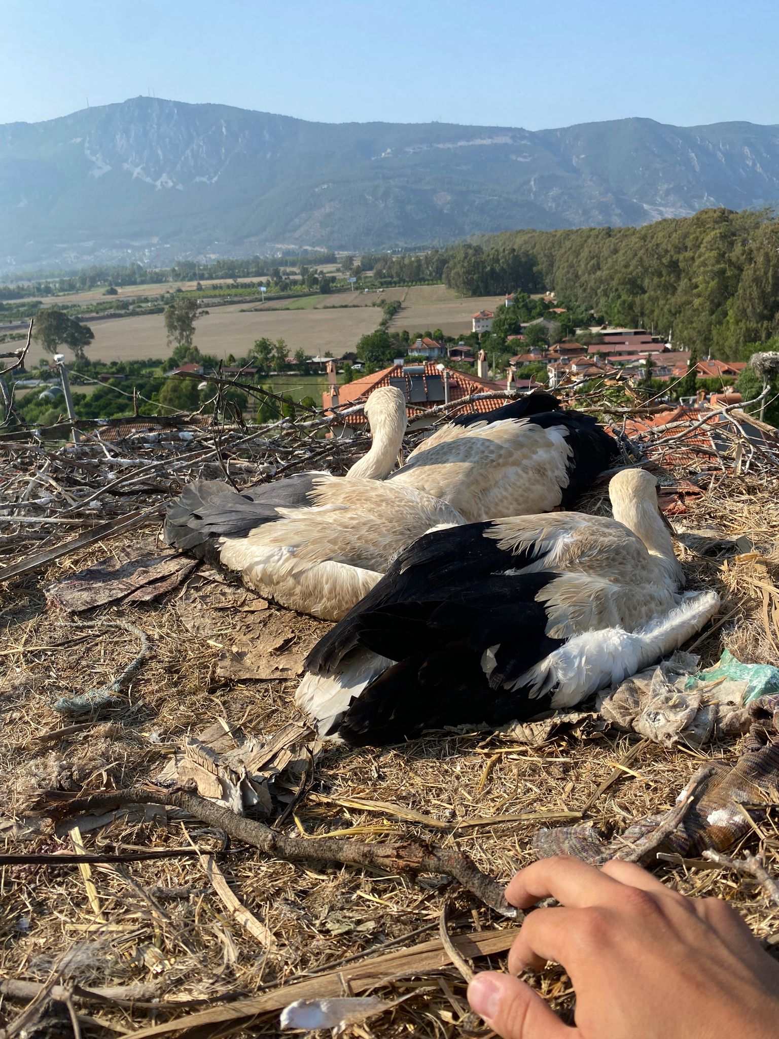 Whatsapp Image 2025 06 14 At 22.29.02