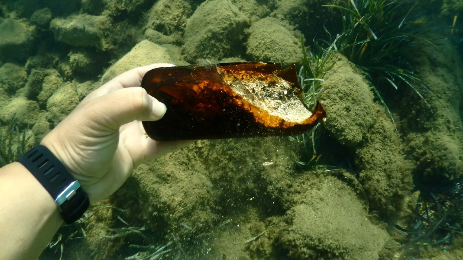 Whatsapp Image 2025 06 18 At 15.55.09