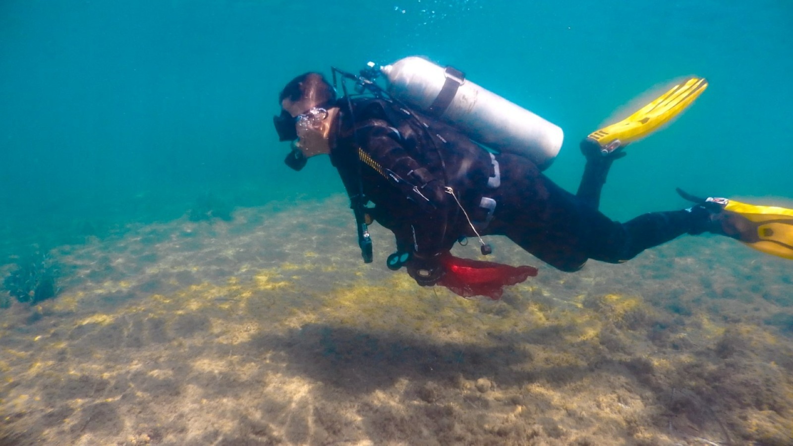 Whatsapp Image 2025 06 18 At 15.55.11