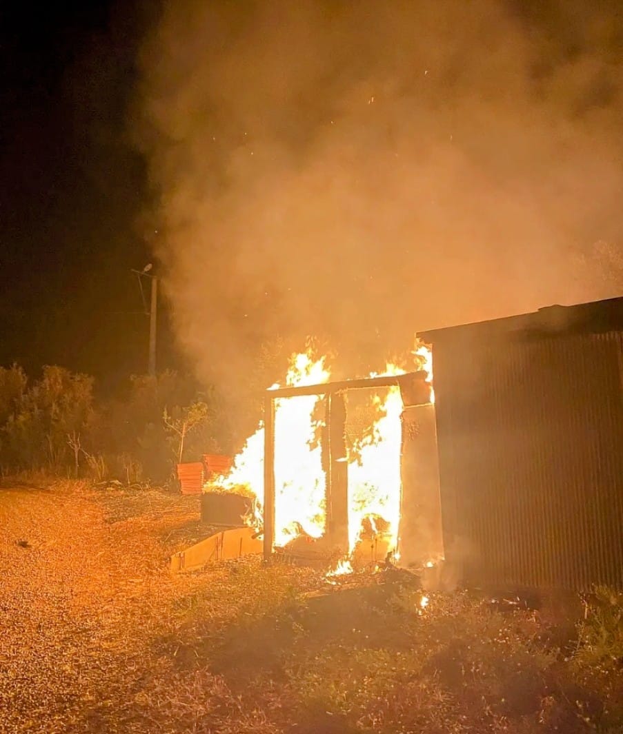 Whatsapp Image 2025 06 19 At 12.31.57