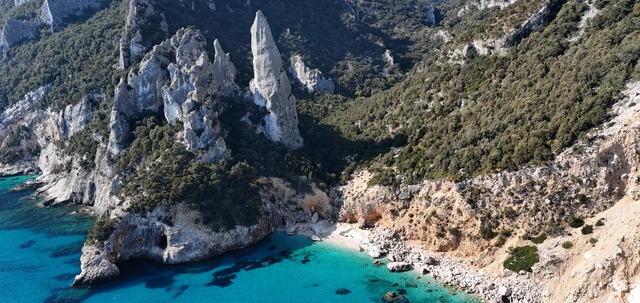 Whatsapp Image 2025 06 19 At 15.38.17