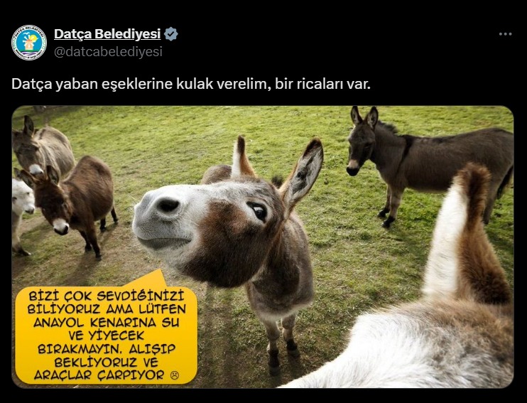 Whatsapp Image 2025 06 20 At 10.23.49