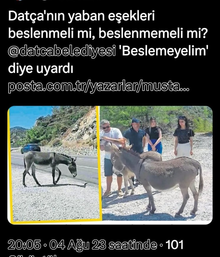 Whatsapp Image 2025 06 20 At 10.23.50-2