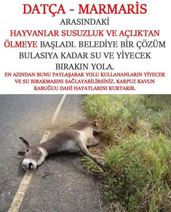 Whatsapp Image 2025 06 20 At 10.23.51