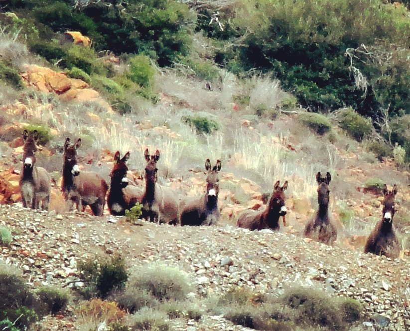 Whatsapp Image 2025 06 20 At 10.23.52 (2)