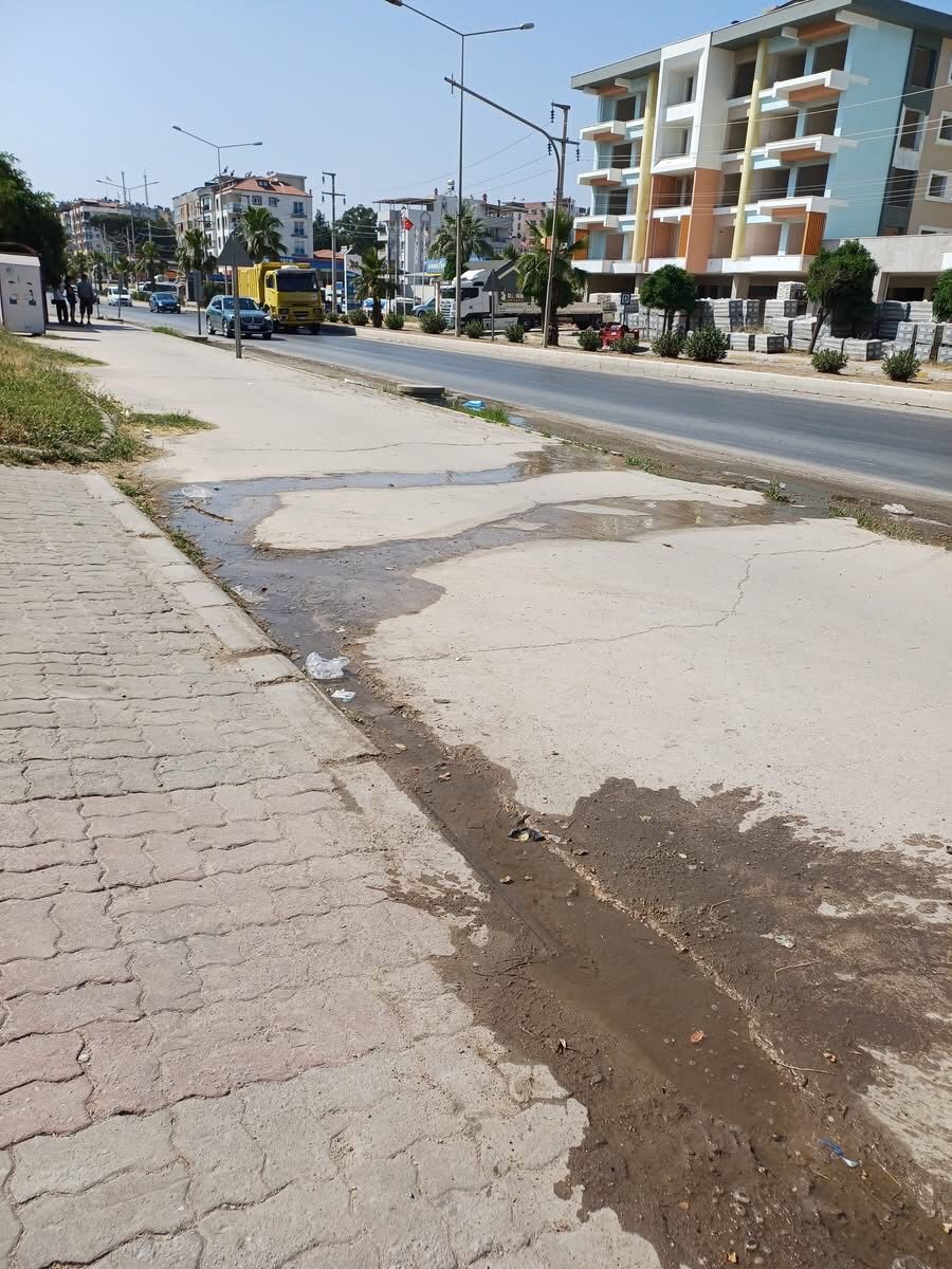 Whatsapp Image 2025 06 20 At 10.57.00