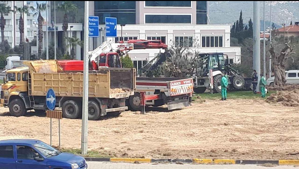 Whatsapp Image 2025 06 21 At 17.17.31