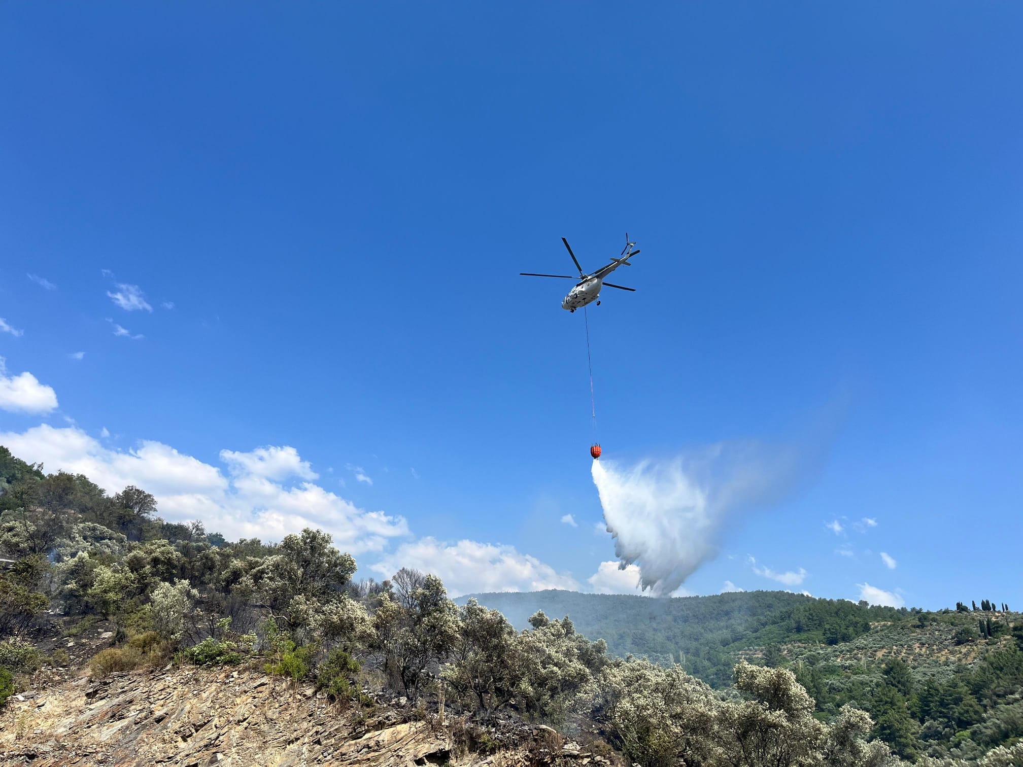 Whatsapp Image 2025 06 22 At 17.28.31