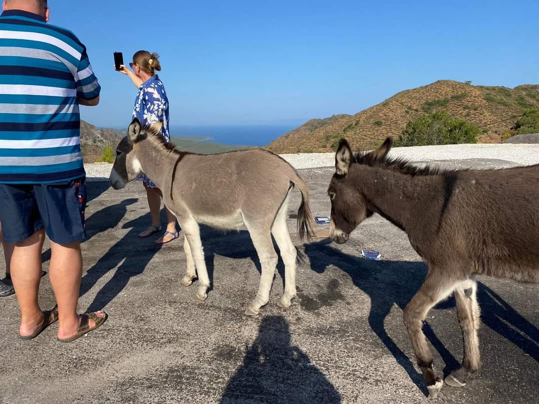 Whatsapp Image 2025 06 23 At 10.06.17