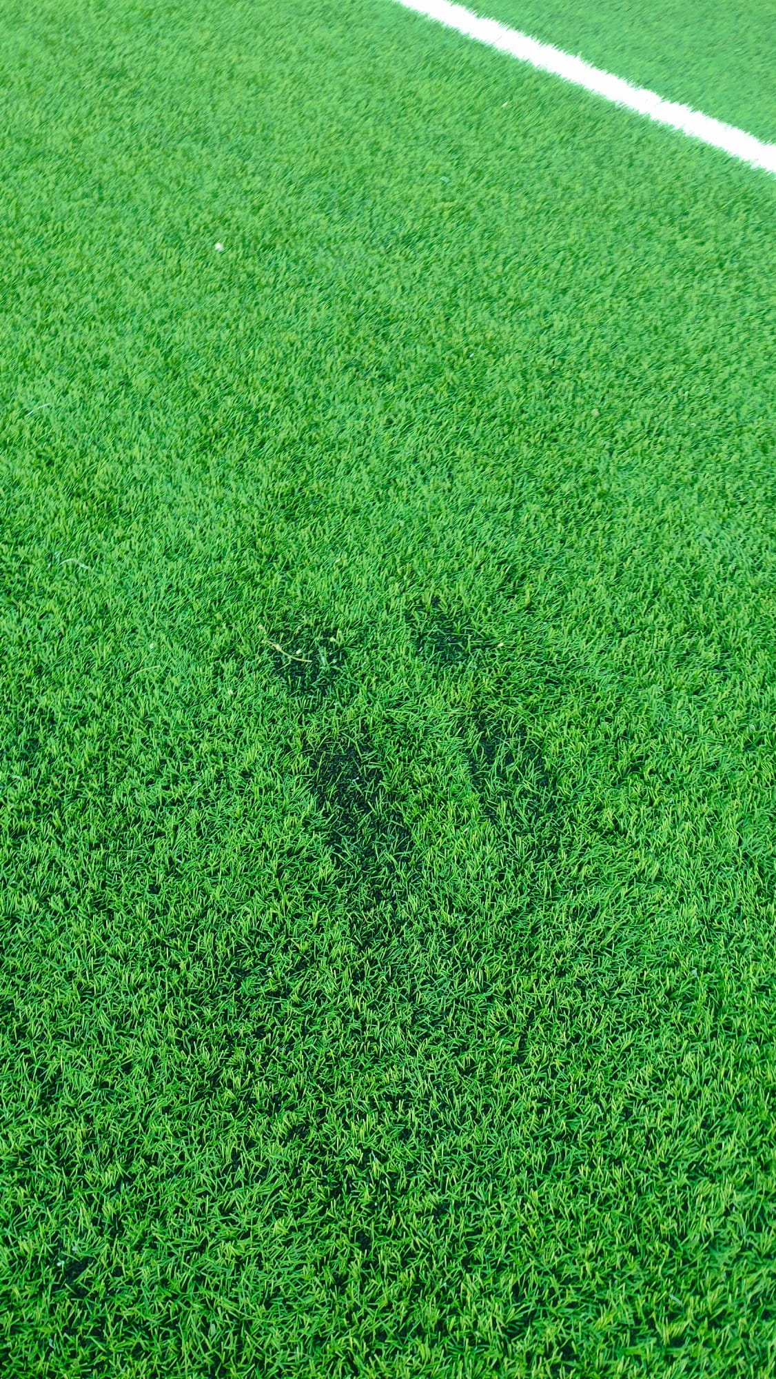 Whatsapp Image 2025 06 24 At 13.16.29 (2)