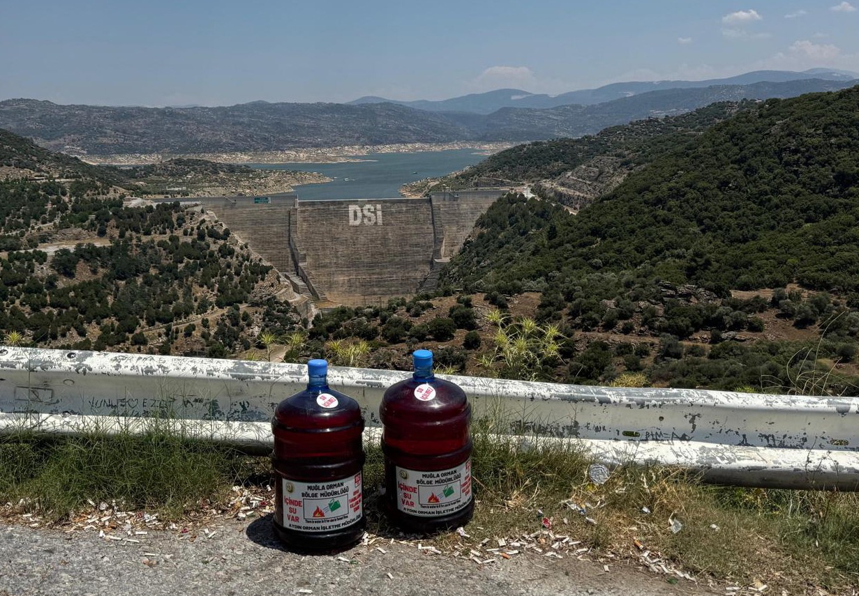 Whatsapp Image 2025 06 25 At 11.36.30