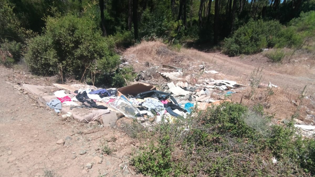 Whatsapp Image 2025 06 25 At 16.38.11-1