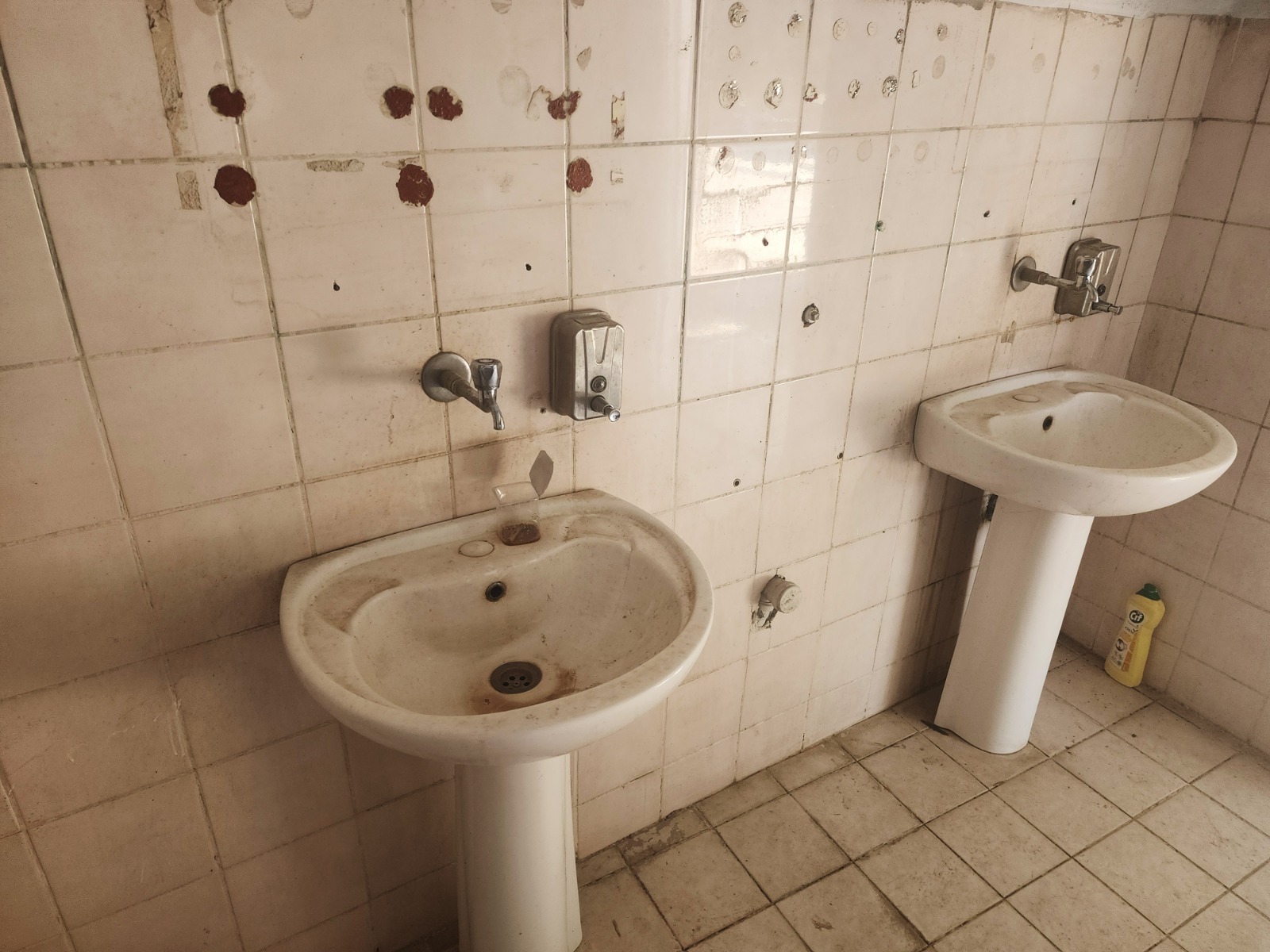 Whatsapp Image 2025 06 26 At 09.17.03