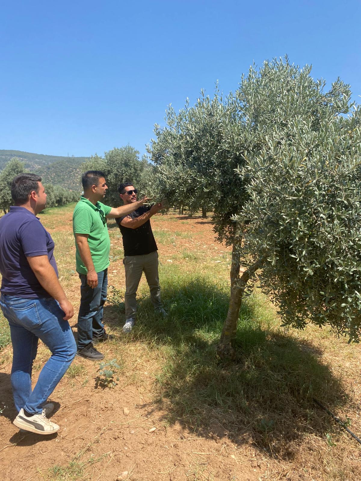 Whatsapp Image 2025 06 26 At 12.56.18 (1)