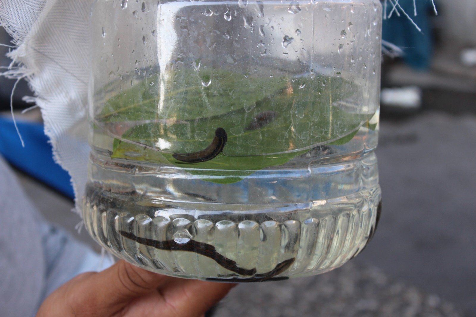 Whatsapp Image 2025 06 27 At 08.53.33 (3)