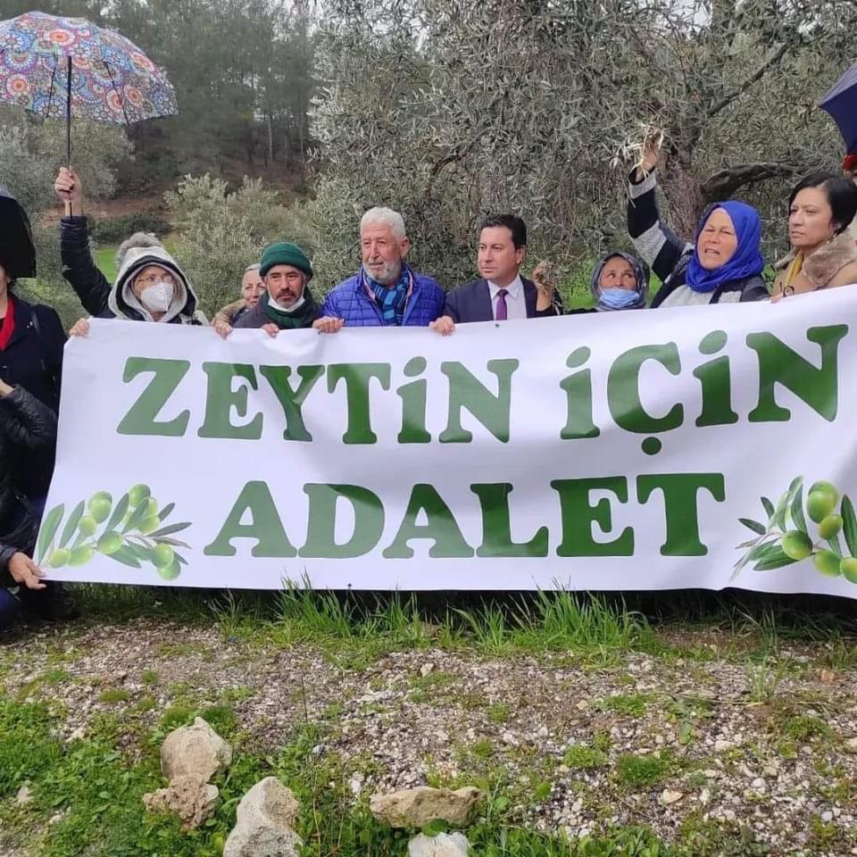 Whatsapp Image 2025 06 28 At 13.23.22 (4)