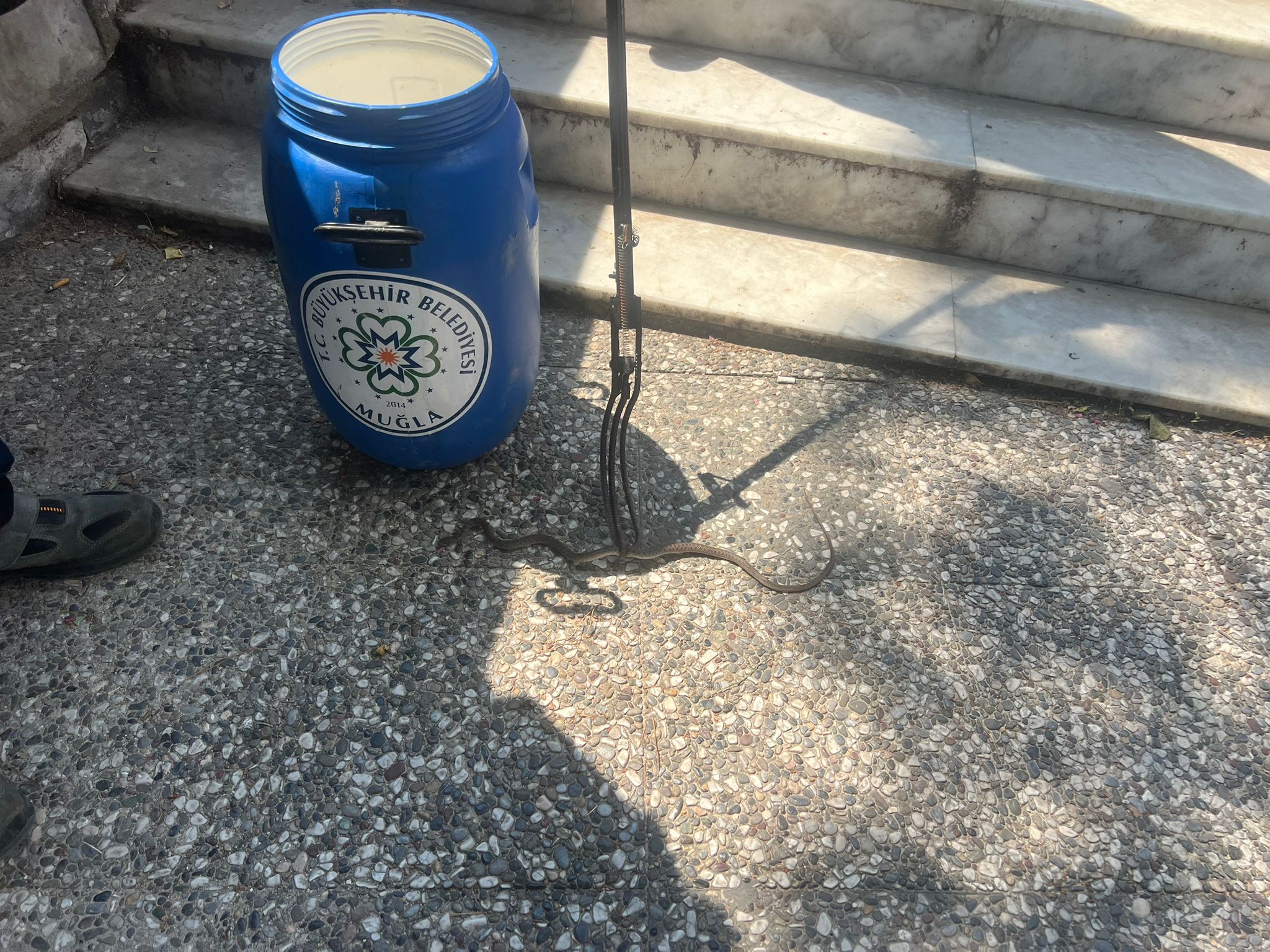 Whatsapp Image 2025 06 28 At 15.29.35 (2)