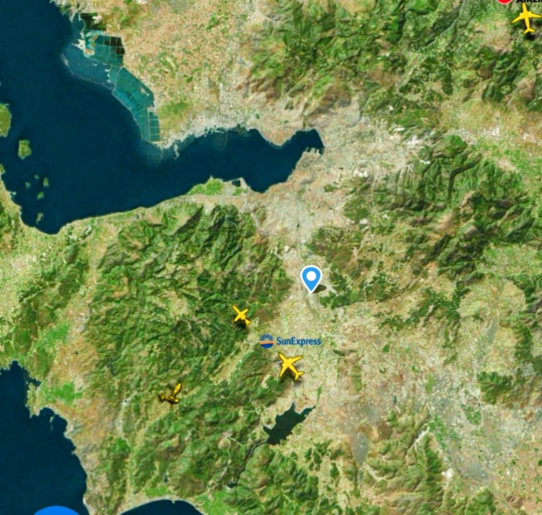 Whatsapp Image 2025 06 29 At 17.05.11