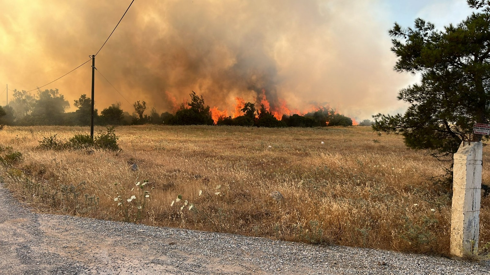 Whatsapp Image 2025 06 29 At 17.38.35 (1)