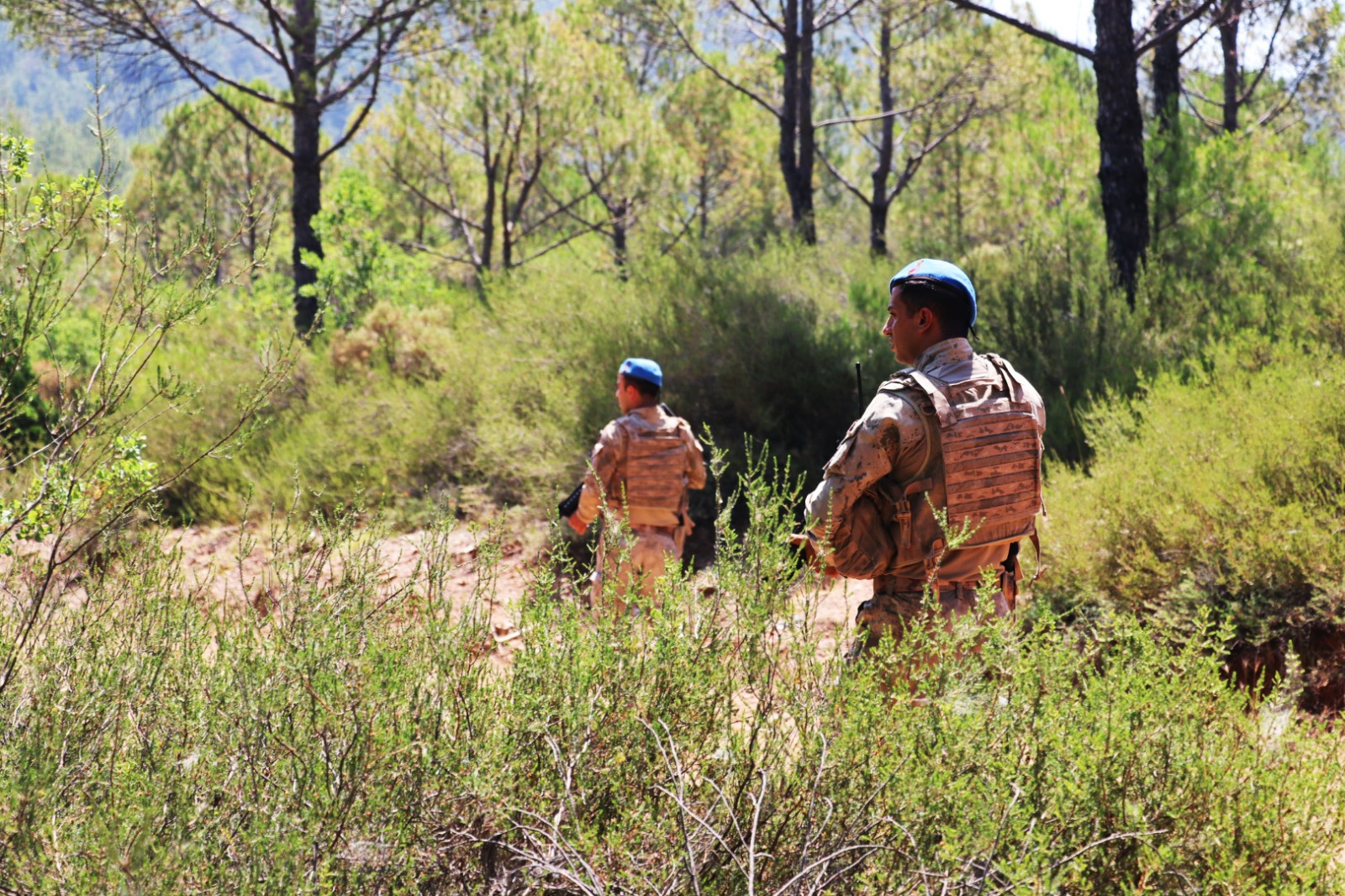 Whatsapp Image 2025 06 30 At 10.13.09