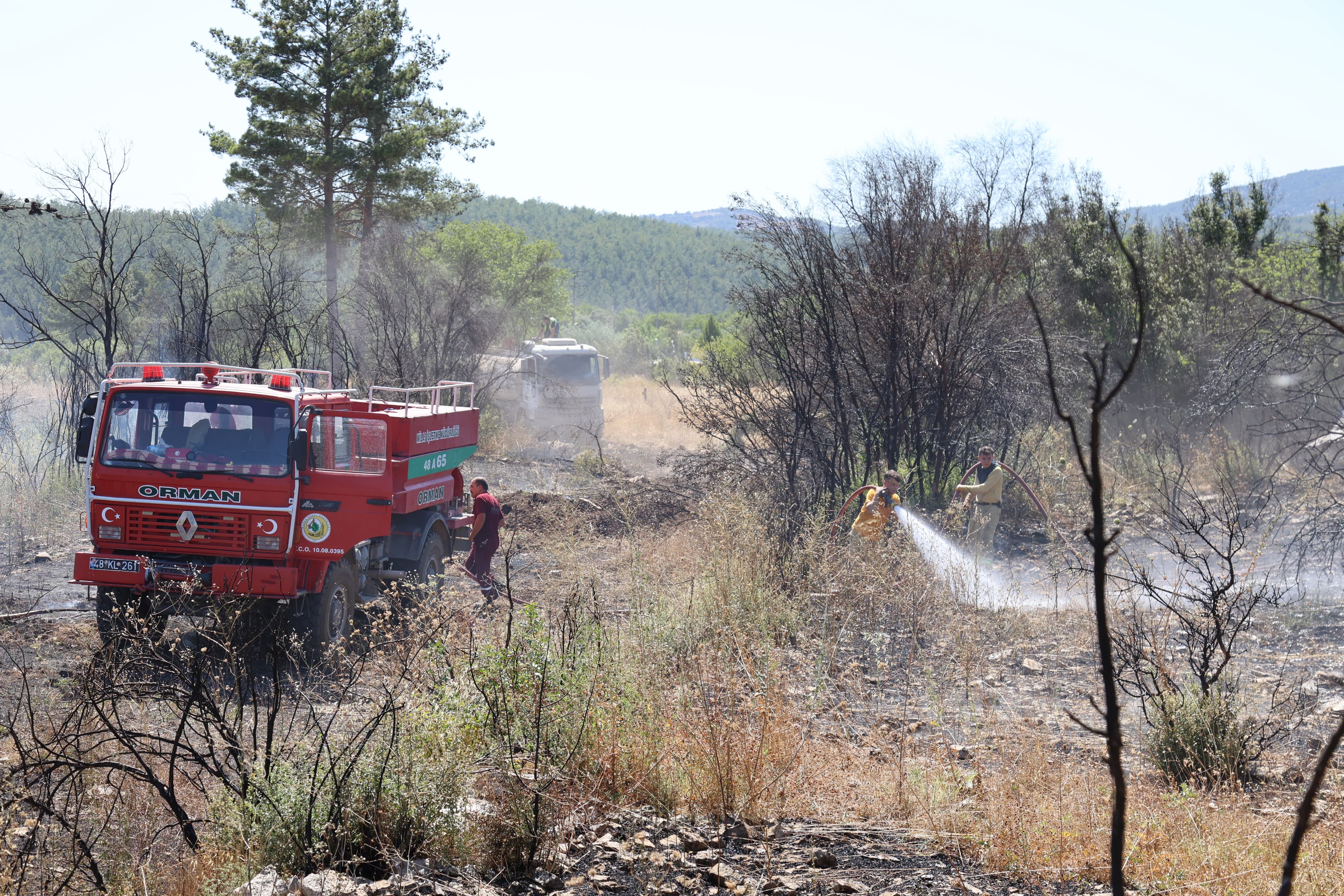 Whatsapp Image 2025 06 30 At 16.28.49