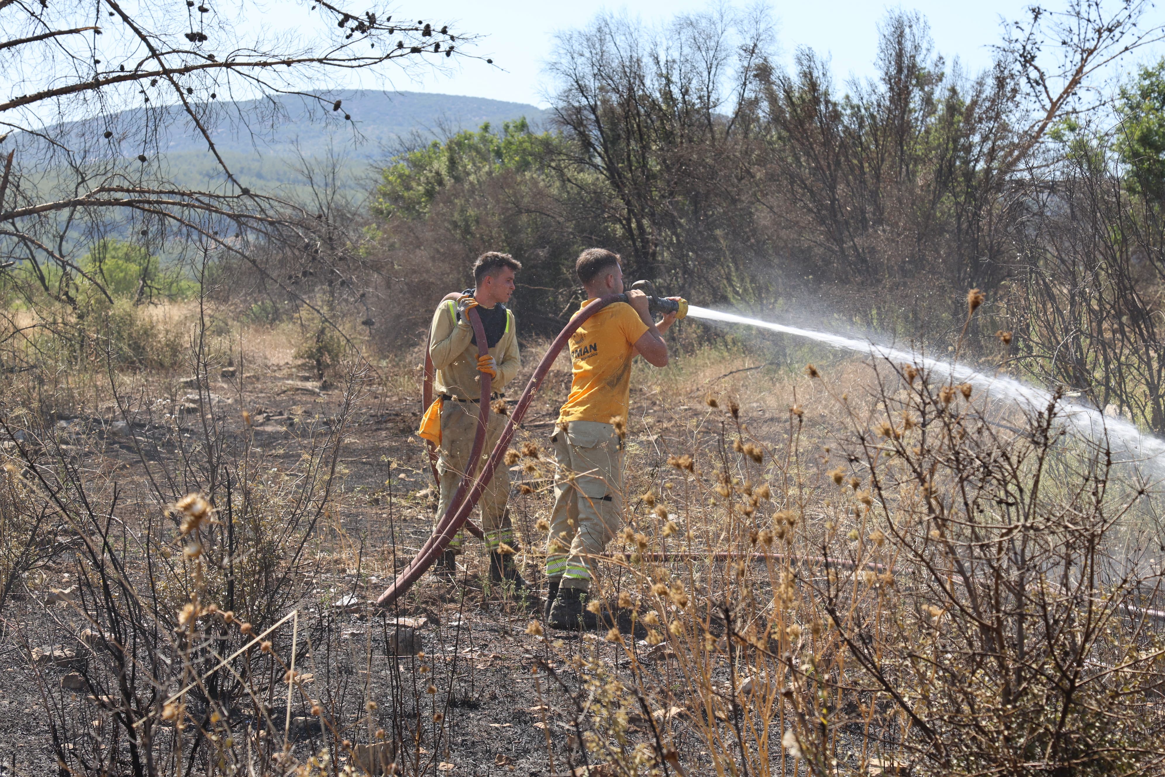 Whatsapp Image 2025 06 30 At 16.28.50