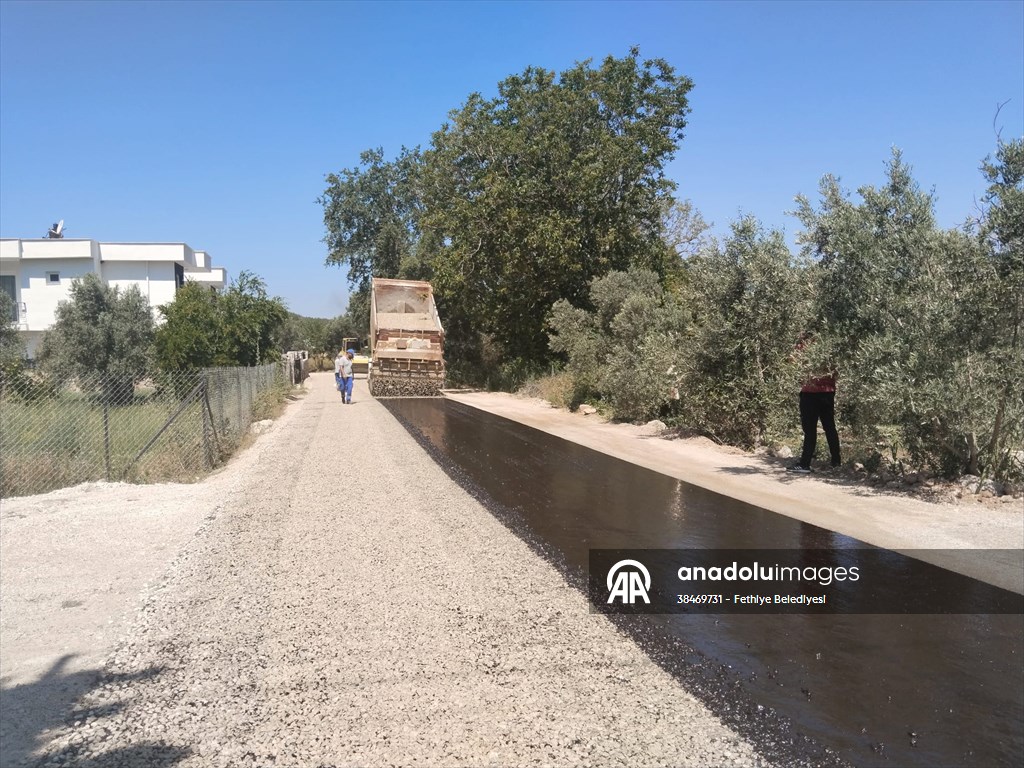 20250704 2 69807622 114769678 Preview