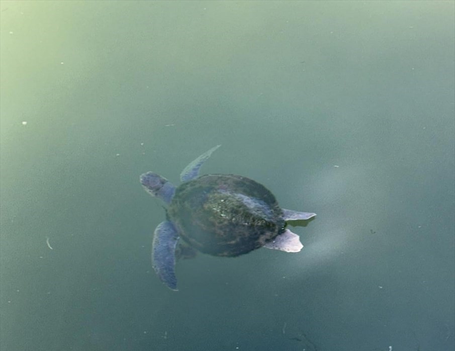 20250706 2 69827574 114820695 Preview