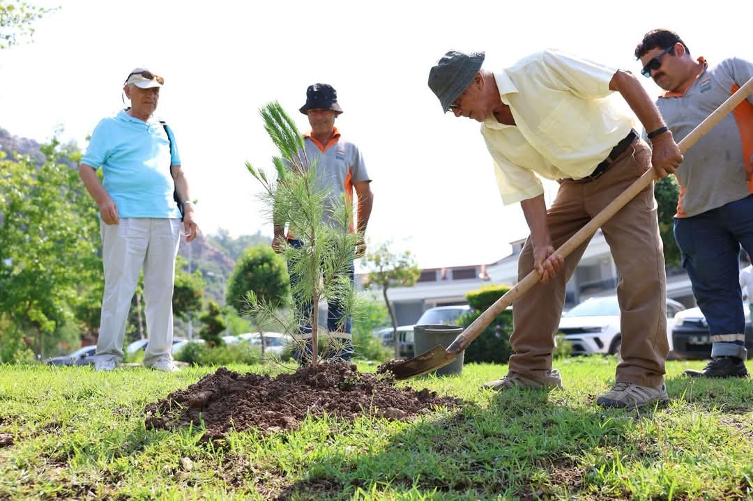 A A 20250718 38591913 38591911 D A T C A N I N D O G A D E D E S I N I N M A R M A R I S E B A G I S L A D I G I F I D A N L A R D I K I L D I